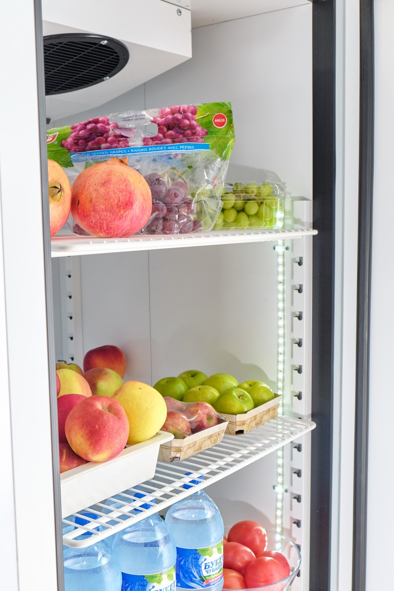 Шкаф холодильный низкотемпературный ШХн-0,5-02 краш.